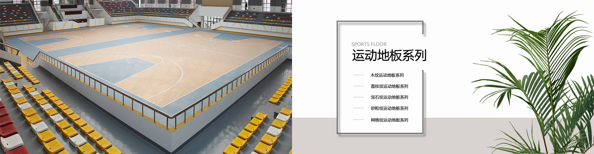 運動地膠 運動地膠