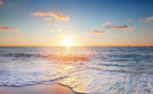 希望·甜·隨感——何以蘇