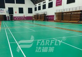 【體育】南京金陵學(xué)院體育館