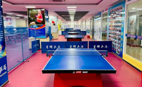 乒乓球場(chǎng)地膠到底有什么“魔法”？