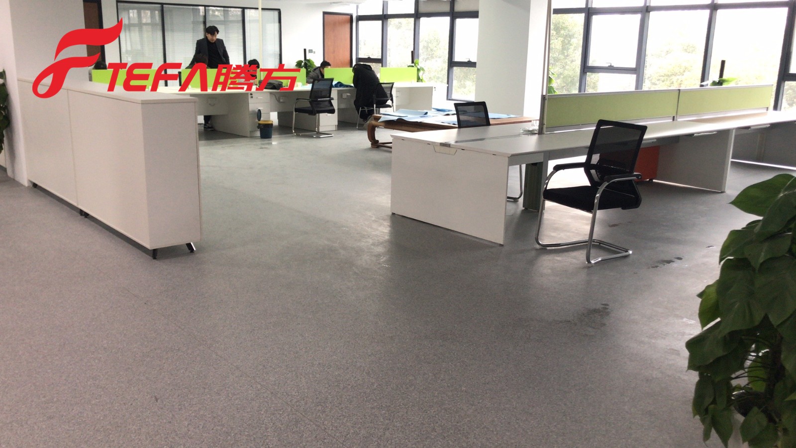 辦公室PVC地板 辦公室PVC地板