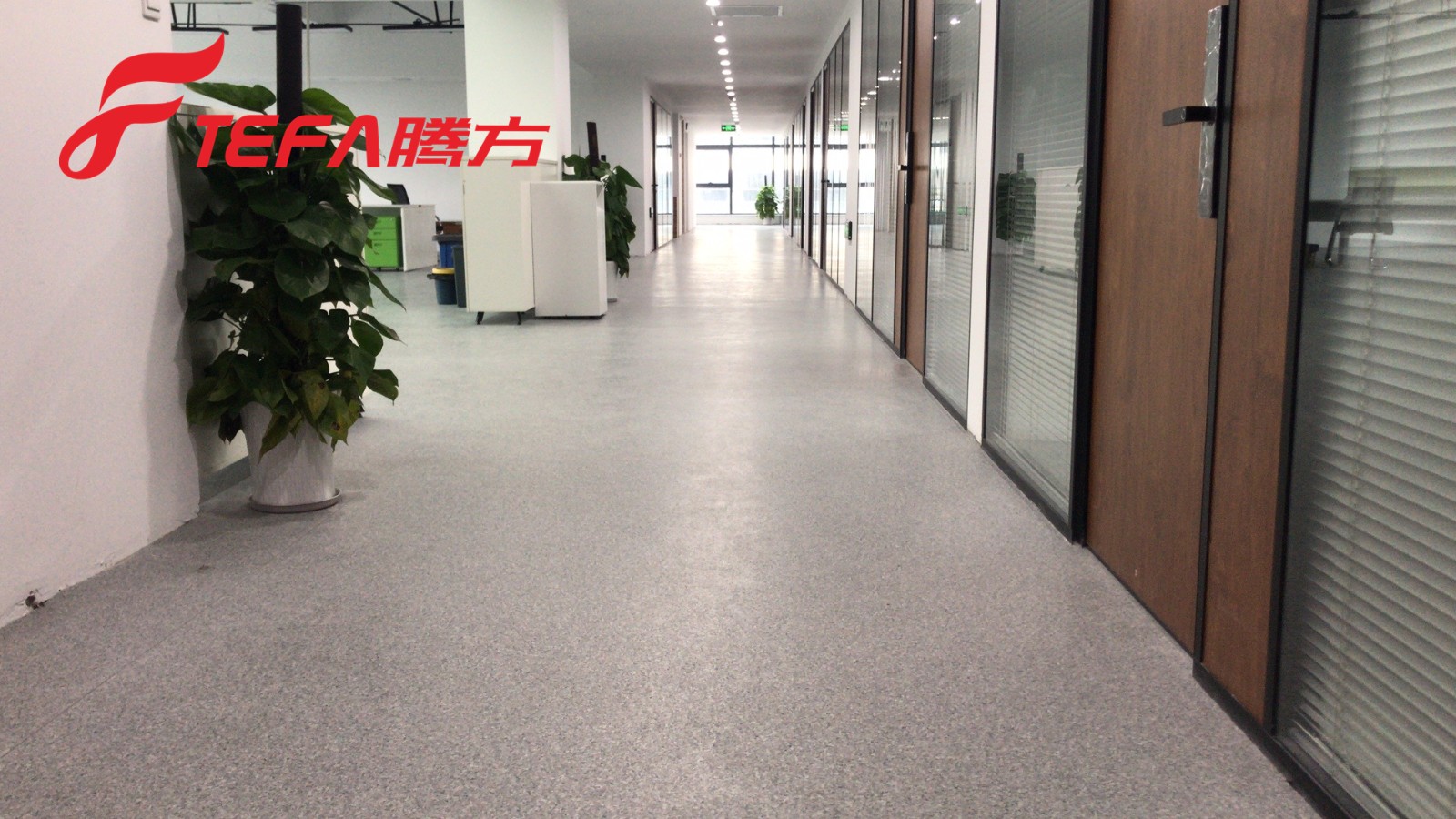 辦公室PVC地板 辦公室PVC地板