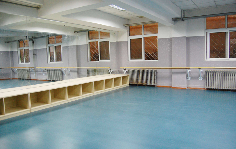 舞蹈地膠運(yùn)動(dòng)地膠 舞蹈地膠運(yùn)動(dòng)地膠