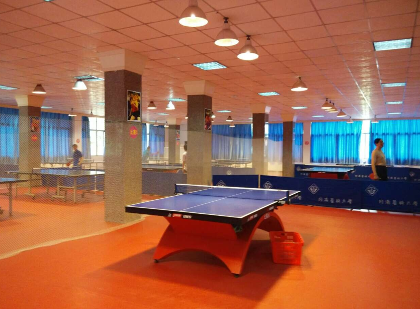 運(yùn)動專用PVC塑膠地板 運(yùn)動專用PVC塑膠地板