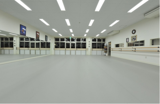 舞蹈專業(yè)地膠 舞蹈專業(yè)地膠