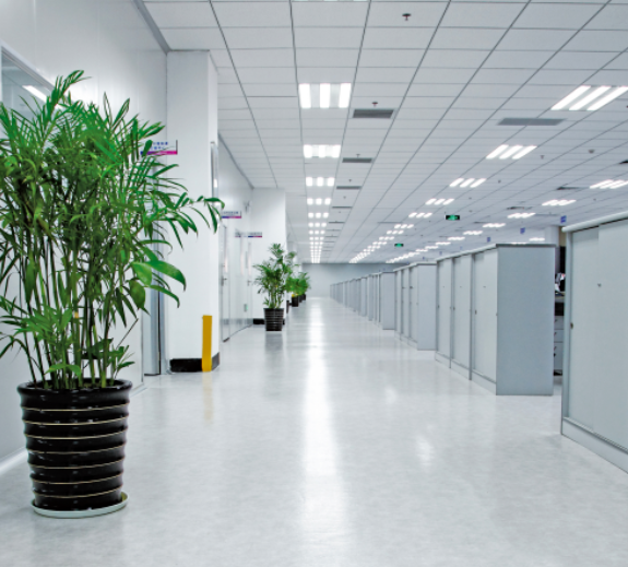 1725584479594236.png image.png